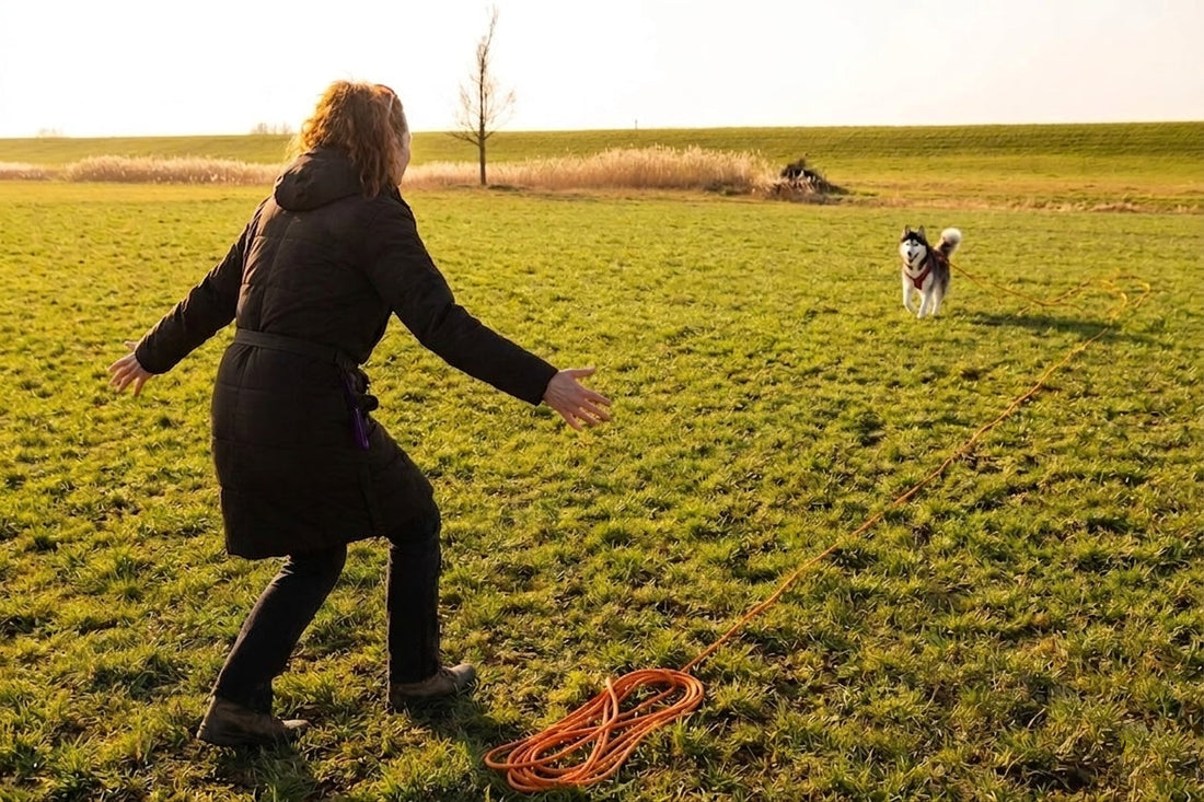 A dog owner practicing recall training with a Long Line from the brand DoggoZ